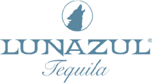 logo 8